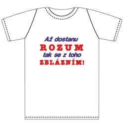 Ptákoviny - Tričko pro dospělé s vtipným nápisem Až dostanu rozum, tak se z toho zblázním! 